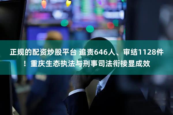 正规的配资炒股平台 追责646人、审结1128件！重庆生态执法与刑事司法衔接显成效