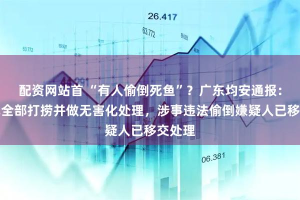 配资网站首 “有人偷倒死鱼”？广东均安通报：死鱼已全部打捞并做无害化处理，涉事违法偷倒嫌疑人已移交处理
