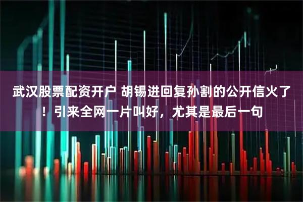武汉股票配资开户 胡锡进回复孙割的公开信火了！引来全网一片叫好，尤其是最后一句